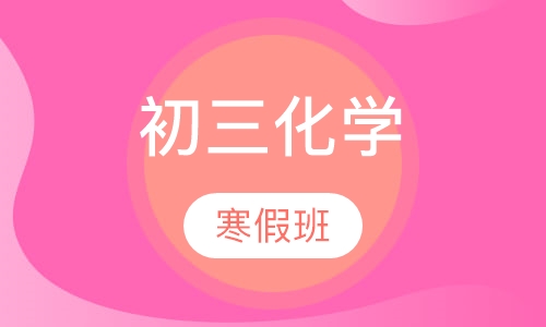 初三化学寒假班