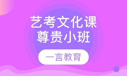 艺考生文化课辅导尊贵小班