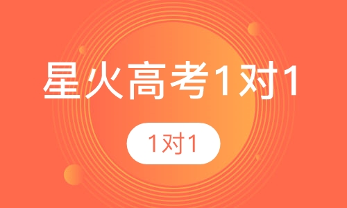 星火高考1对1