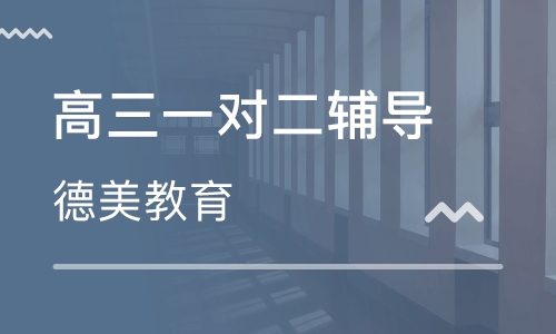 高三一对二辅导