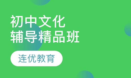 初中文化辅导精品班