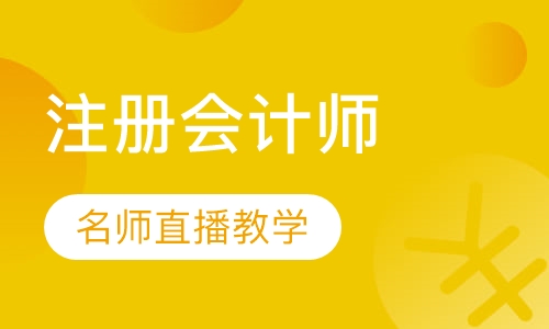 CPA注册会计师