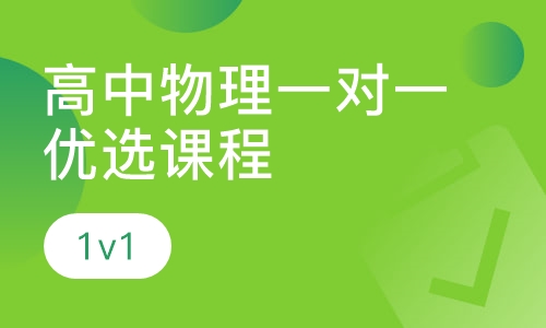 高中物理一对一优选课程