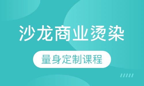沙龙商业烫染（巴黎欧莱雅课程）