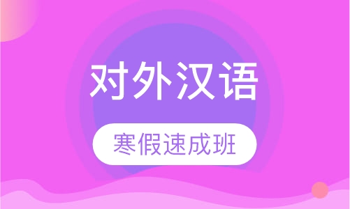 南京教外国人学习中文的培训机构，寒假速成班