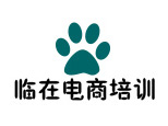 济南临在电商培训