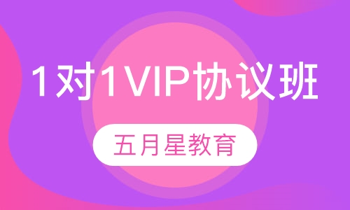 1对1VIP协议班