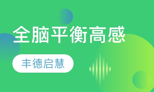 全脑平衡高感课程