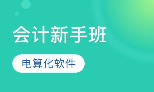 会计新手班