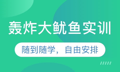 轰炸大鱿鱼实训