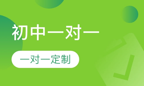 初中一对一