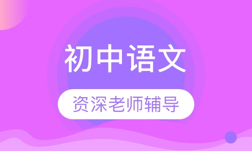 初中语文一对一辅导