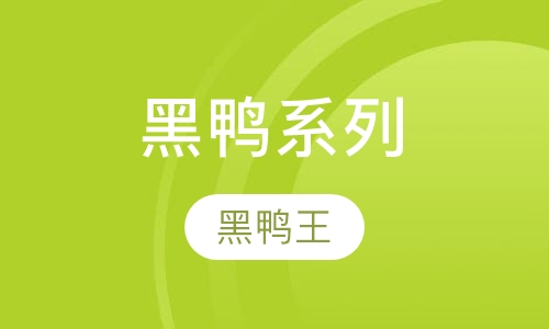 中式简餐卤味黑鸭系列