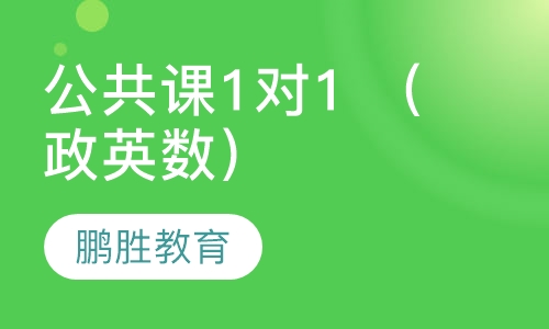 公共课1对1 （政英数）