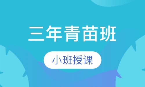三年青苗班