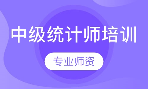 中级统计师培训