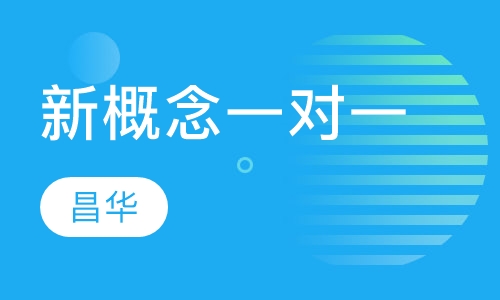 新概念一对一VIP课程