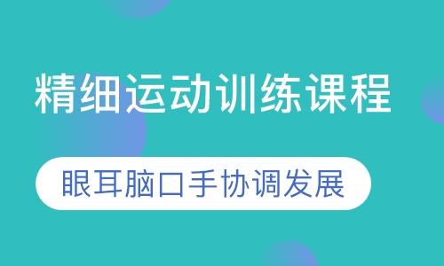 精细运动训练课程