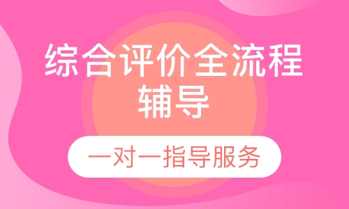 综合评价全流程辅导