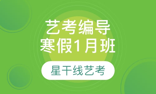 艺考编导专业寒假1月班