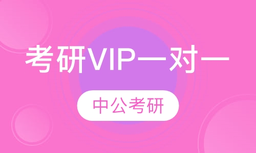 考研VIP一对一