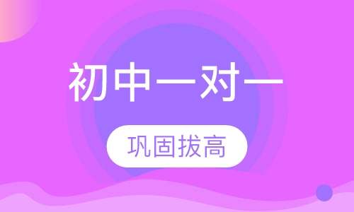初中一对一辅导课程
