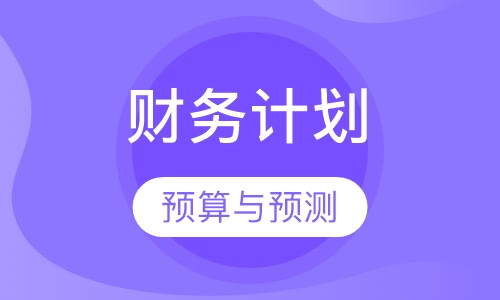 财务计划、预算与预测