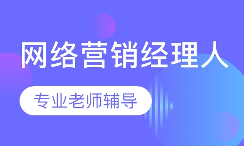 网络营销经理人