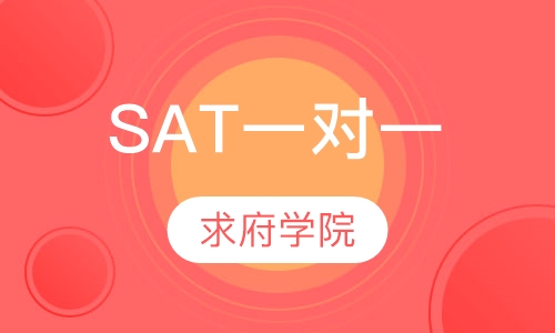 SAT一对一