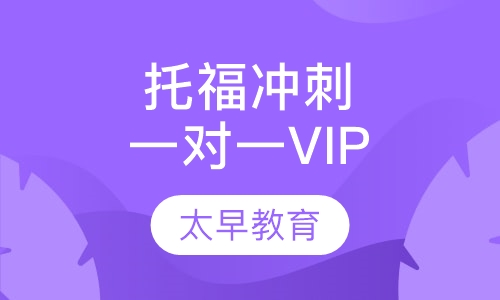 TOPIK冲刺一对一VIP班