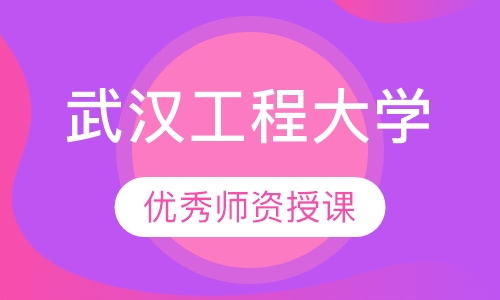 武汉工程大学(在职研究生)