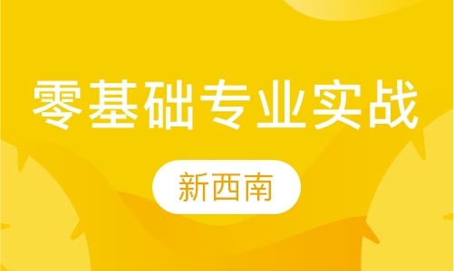 零基础专业实战