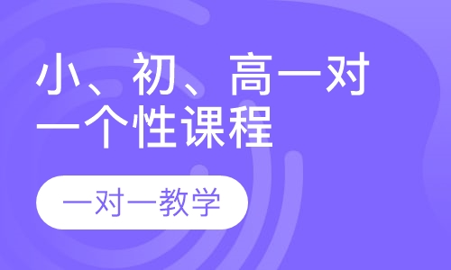小、初、高一对一个性课程