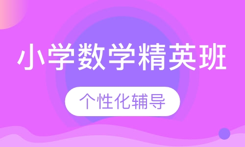 小学数学精英班