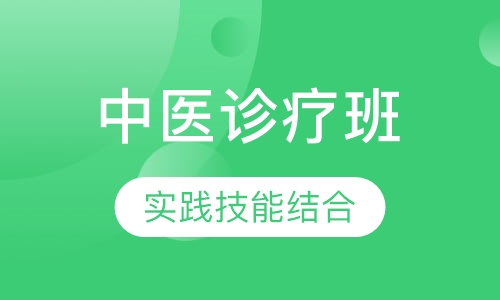 中医诊疗班