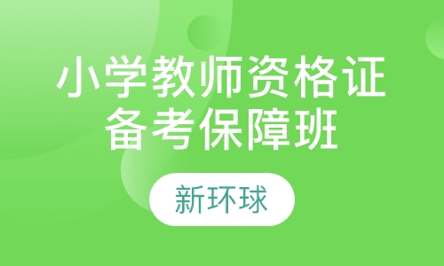 直播课小学教师资格证备考保障班
