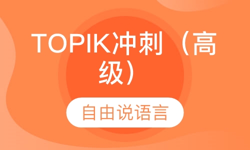 TOPIK冲刺（高级）
