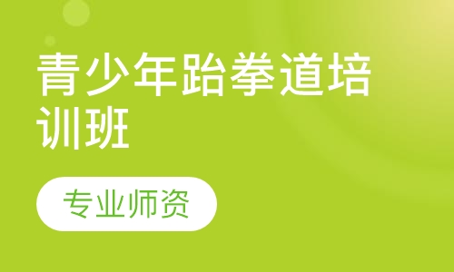 青少年跆拳道培训班