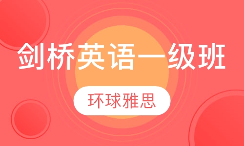 剑桥少儿英语一级&剑桥少儿英语二级1对二