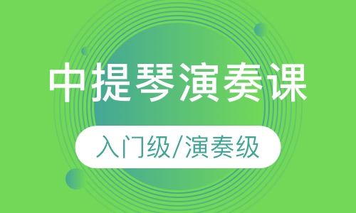 中提琴 入门级/演奏级