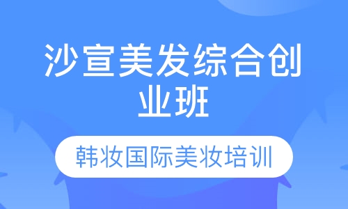 沙宣美发综合创业班