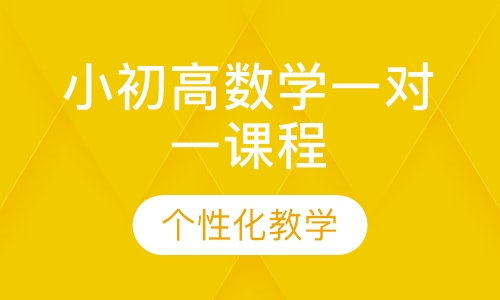 小初高数学一对一课程