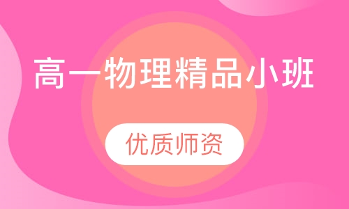 高一物理精品小班