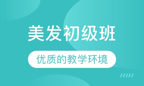 美发初级班