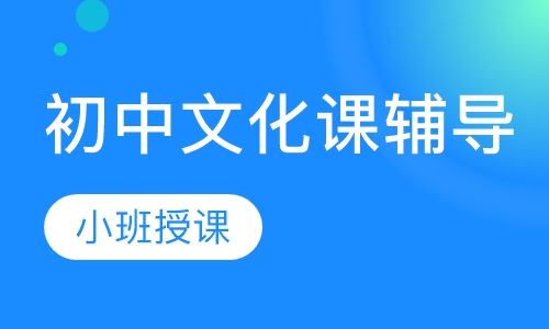 初中文化课辅导