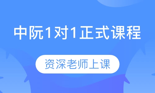 中阮1对1正式课程