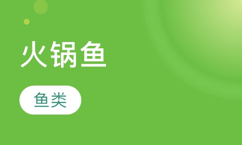 火锅鱼