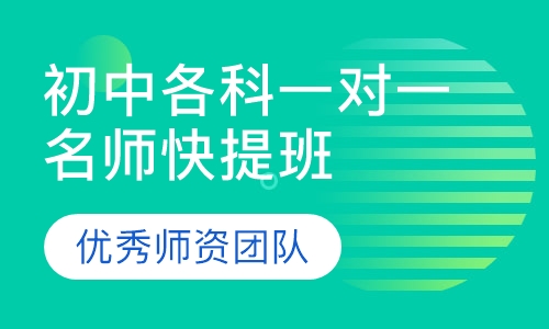 初中各科一对一名师快提班
