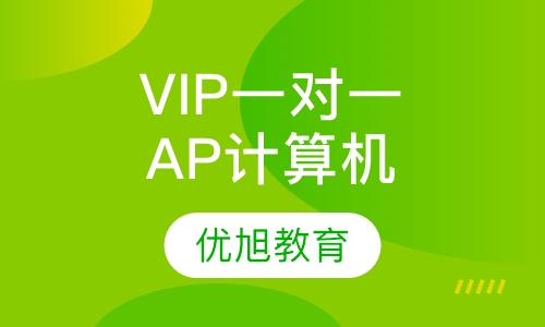 VIP一对一AP 计算机科学订制