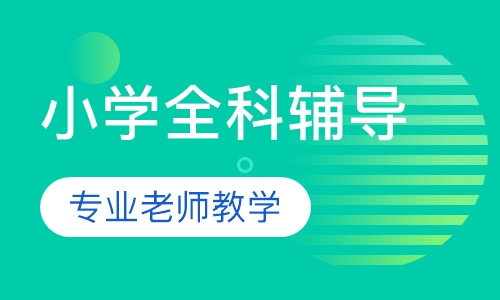 小学全科辅导